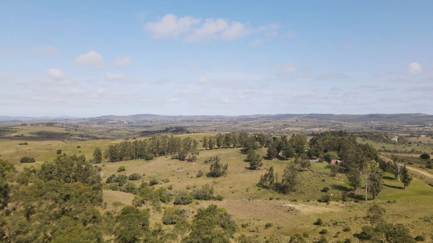 Establecimiento completo de 51ha Pueblo Edén ref 7082 — foto 14