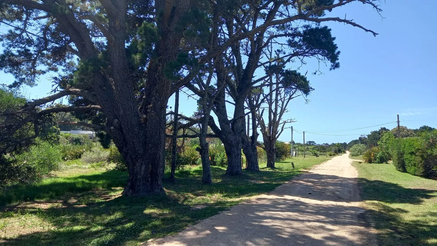 Terreno en La Barra — foto 2