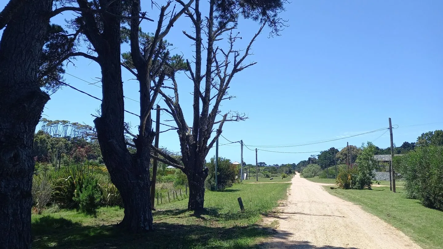 Terreno en La Barra — foto 3