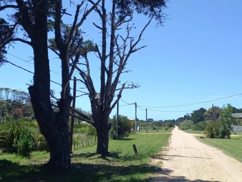 Terreno en La Barra — foto 3