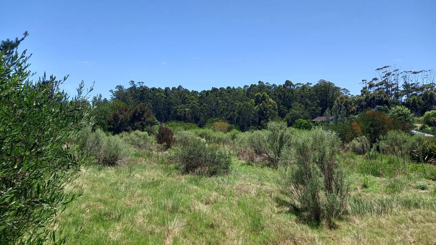 Terreno en La Barra — foto 4
