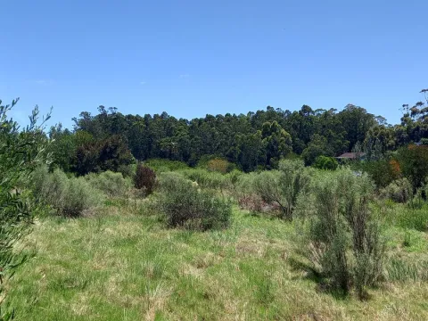 Terreno en La Barra — foto 4